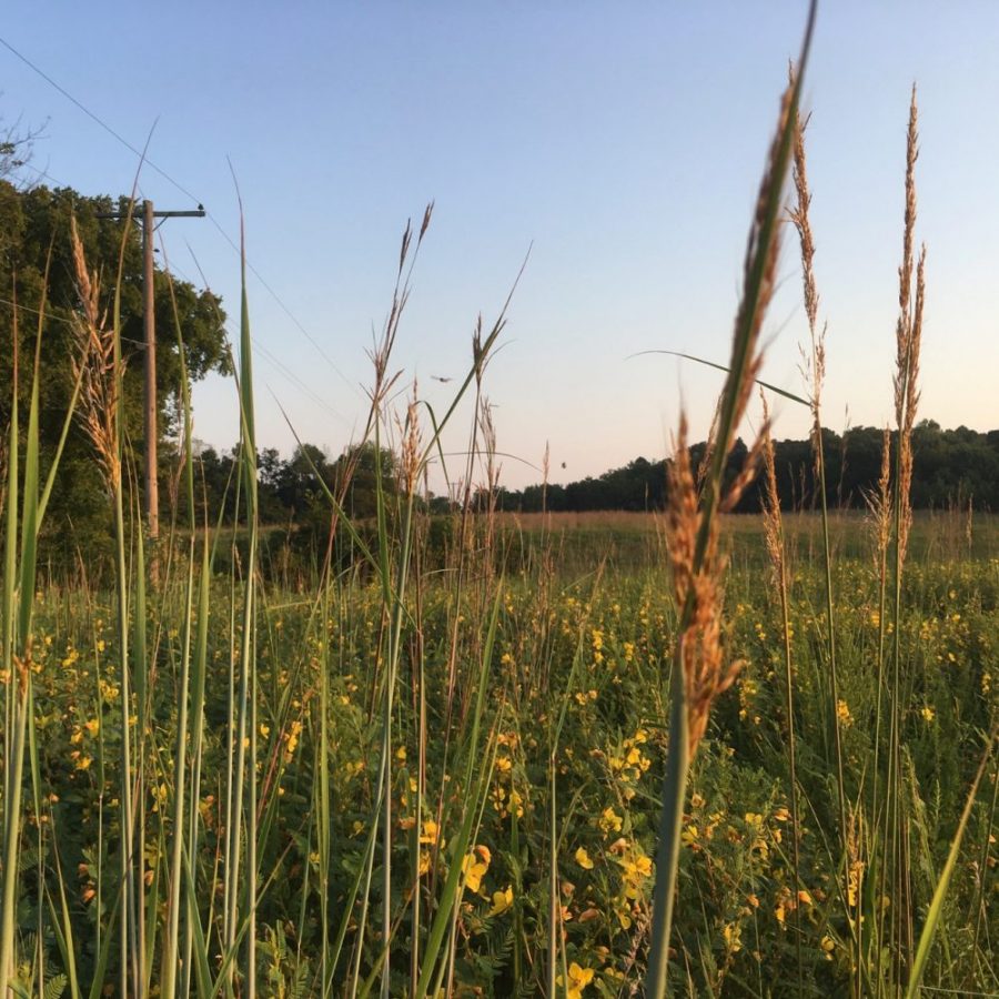 Motherhouse Farm guided by Loretto's desire to live in responsible ...