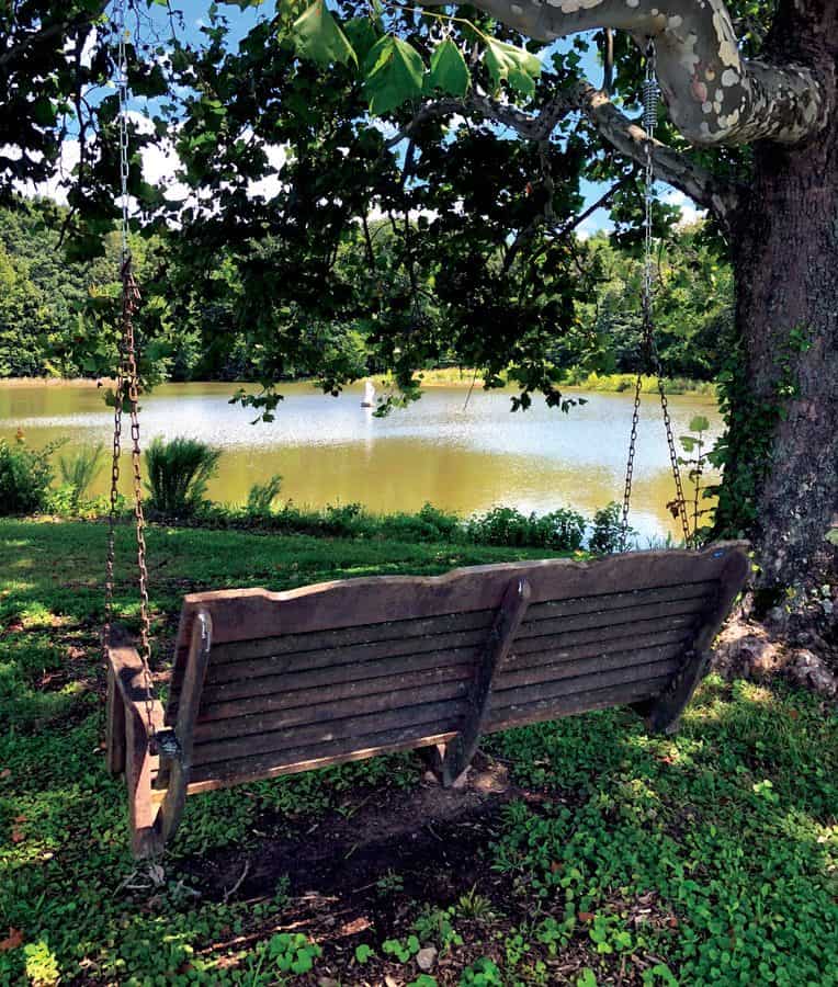 The back of a wide brown swing attached to a tree overlooks green grass, trees and a lake on a sunny day.