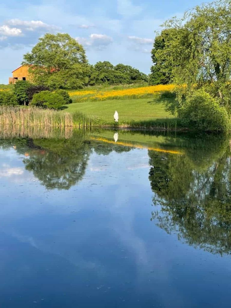 A clear lake reflecting the slightly cloudy but bright blue sky above. Large green trees and a hill with a Mary statue at the bottom are reflected in the water as well.