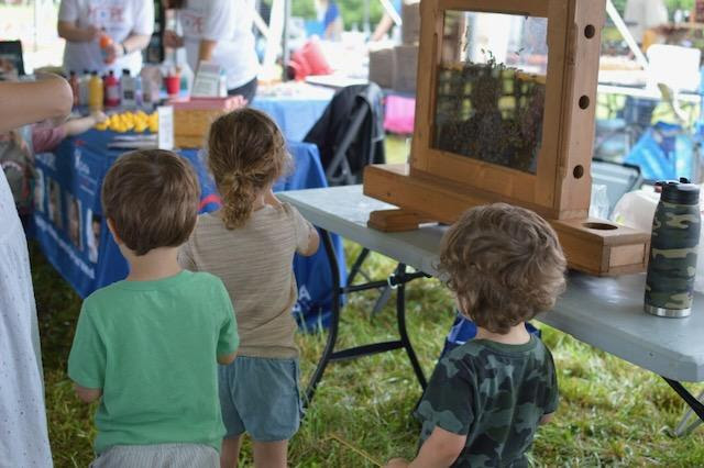 The back of three small children are shown as they look onward at all the activities of an agricultural fair.