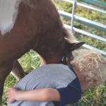 A child with blond curly hair wearing a grey and blue t-shirt and a brown pony with white spots are mesmerized by a curiosity they've spotted on the ground.